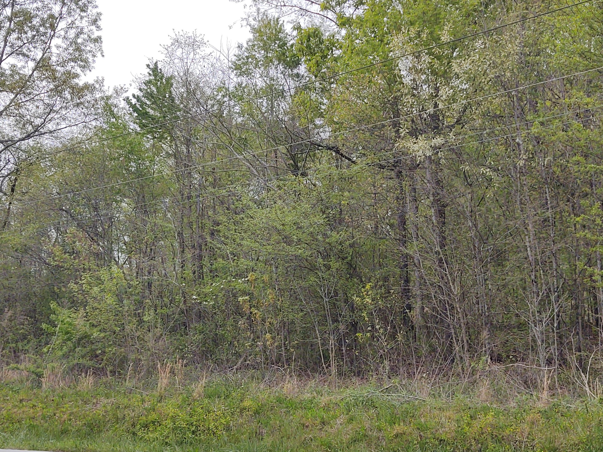 0 Pitts Road Hixson, TN 37343 - Photo 1 of 5 Gallery Image 1