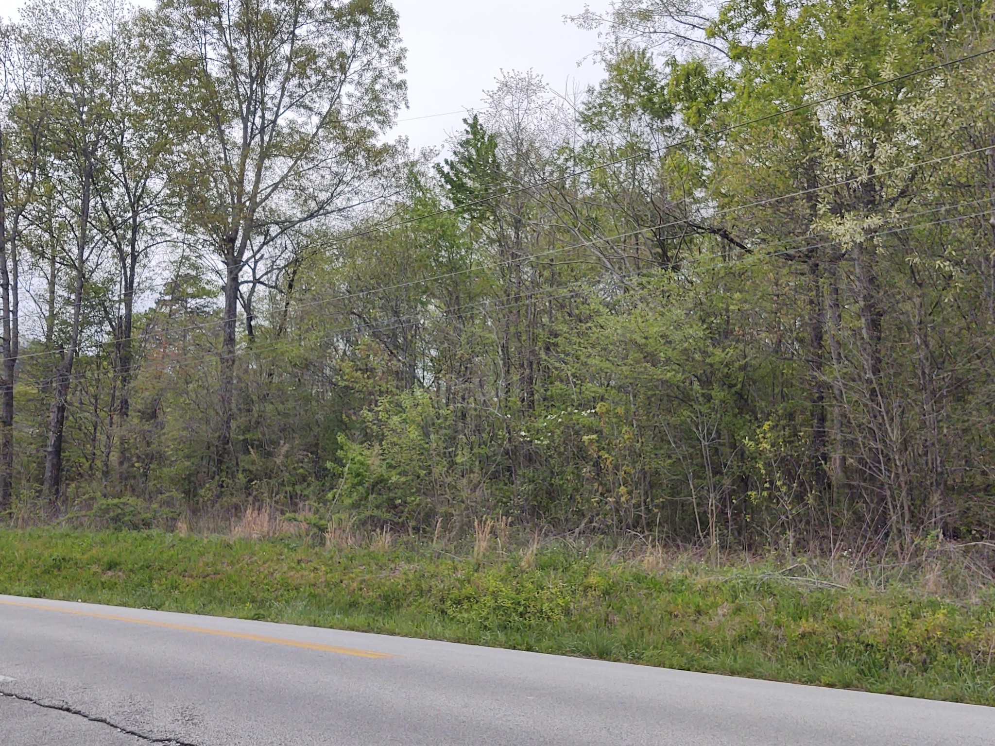 0 Pitts Road Hixson, TN 37343 - Photo 3 of 5 Gallery Image 3