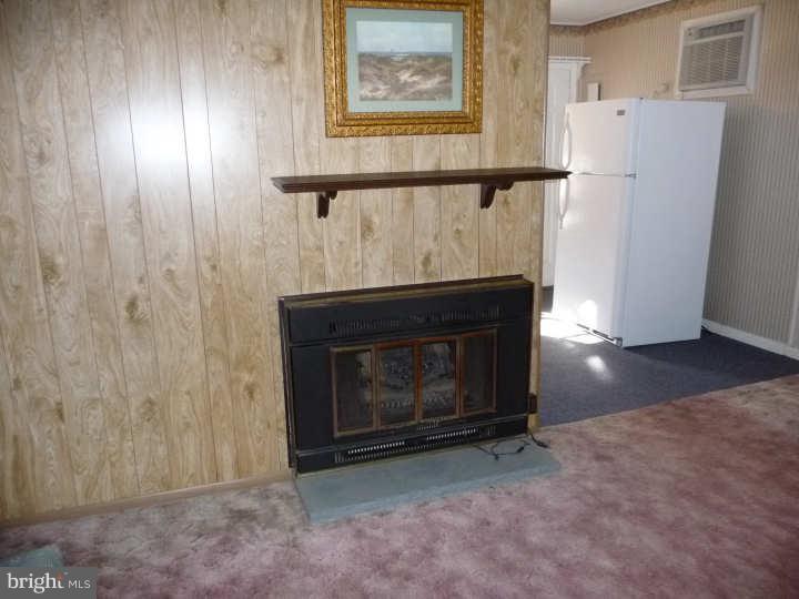 9203 Treaty Road Philadelphia, PA 19114 - Photo 4 of 24 Fireplace