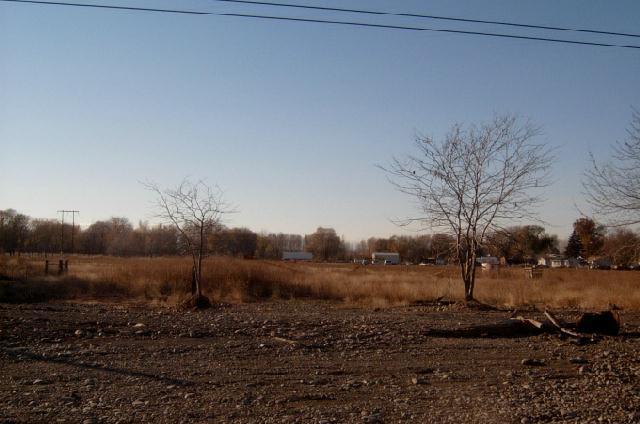a view of a dry yard