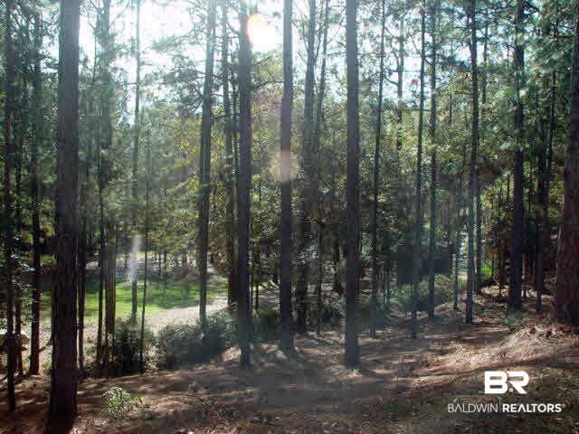 16981 Ferry Road Fairhope, AL 36532 - Photo 27 of 32
