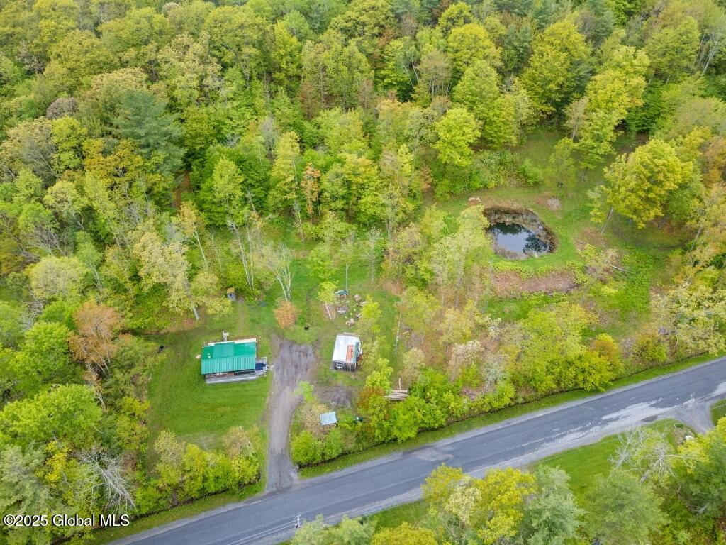 429 Posson Hill Road Middleburgh, NY 12122 - Photo 2 of 28 2-429PossonHillRd_02 (Medium)