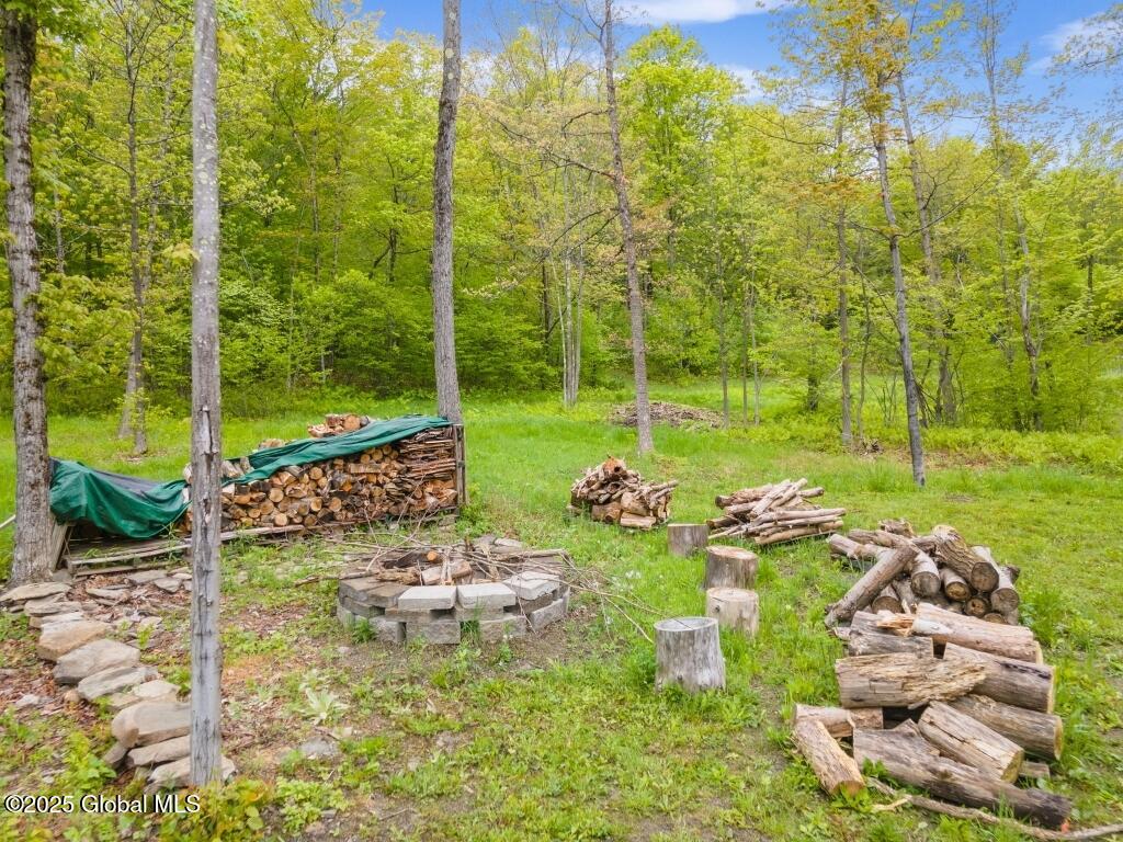 429 Posson Hill Road Middleburgh, NY 12122 - Photo 21 of 28 21-429PossonHillRd_21 (Medium)