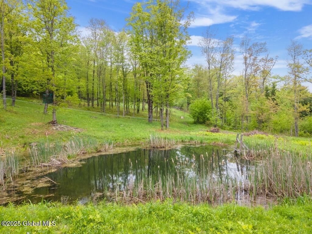 429 Posson Hill Road Middleburgh, NY 12122 - Photo 23 of 28 23-429PossonHillRd_23 (Medium)