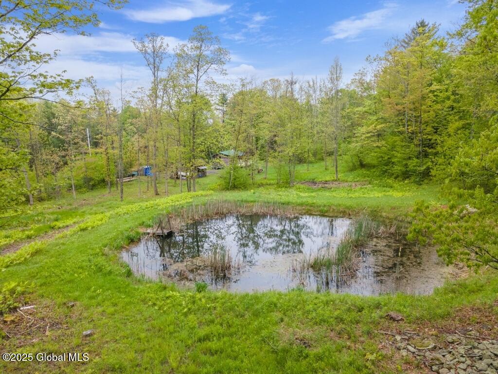 429 Posson Hill Road Middleburgh, NY 12122 - Photo 24 of 28 24-429PossonHillRd_24 (Medium)