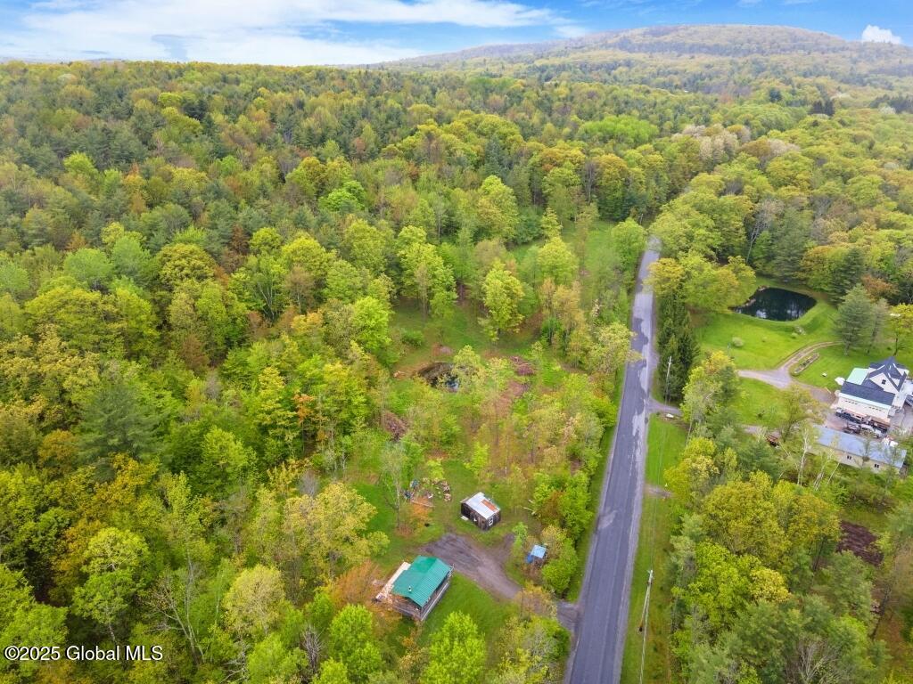 429 Posson Hill Road Middleburgh, NY 12122 - Photo 27 of 28 27-429PossonHillRd_27 (Medium)