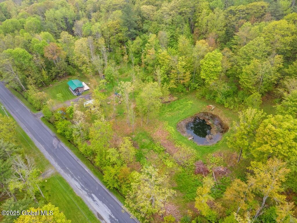429 Posson Hill Road Middleburgh, NY 12122 - Photo 28 of 28 28-429PossonHillRd_28 (Medium)