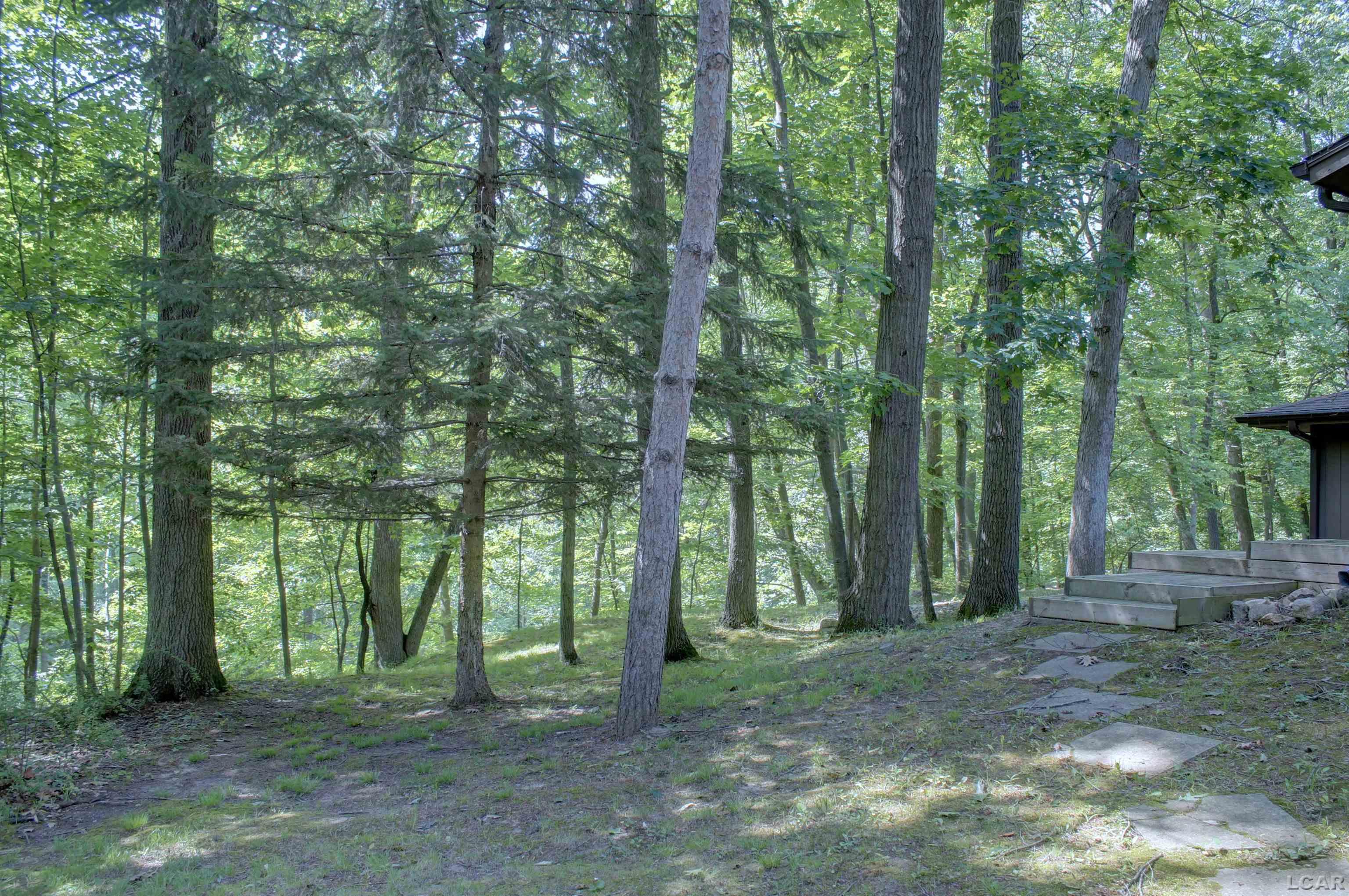 811 Blood Road Tecumseh, MI 49286 - Photo 36 of 43