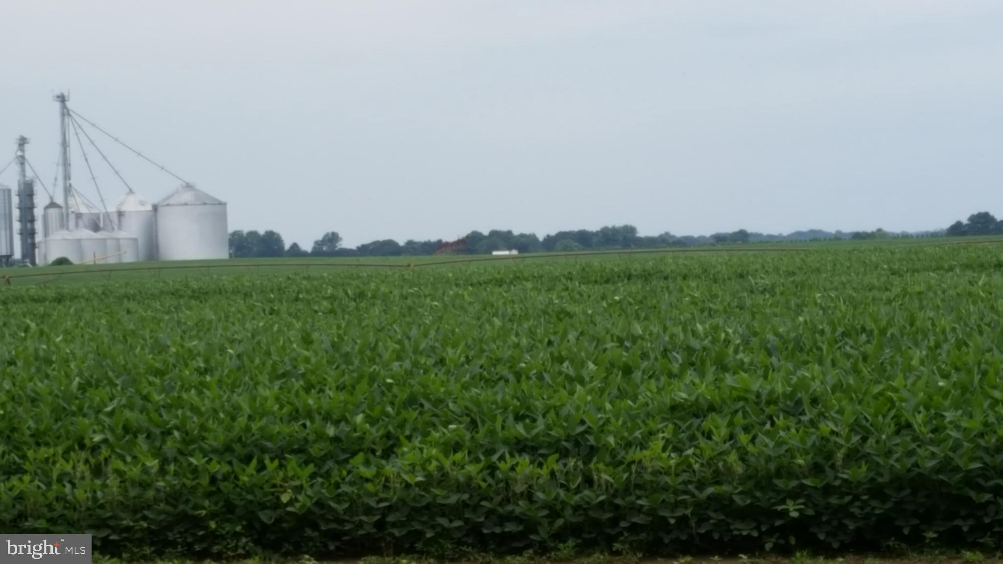 21 Cecilton Manor Drive Warwick, MD 21912 - Photo 16 of 16 Home backs to farm land