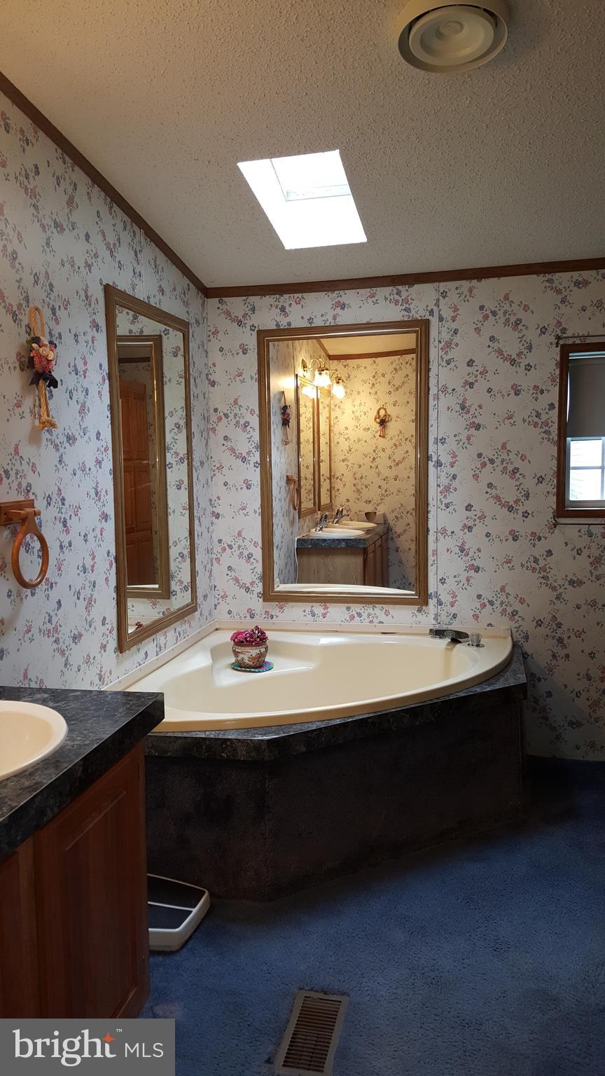 21 Cecilton Manor Drive Warwick, MD 21912 - Photo 9 of 16 Luxurious soaking tub