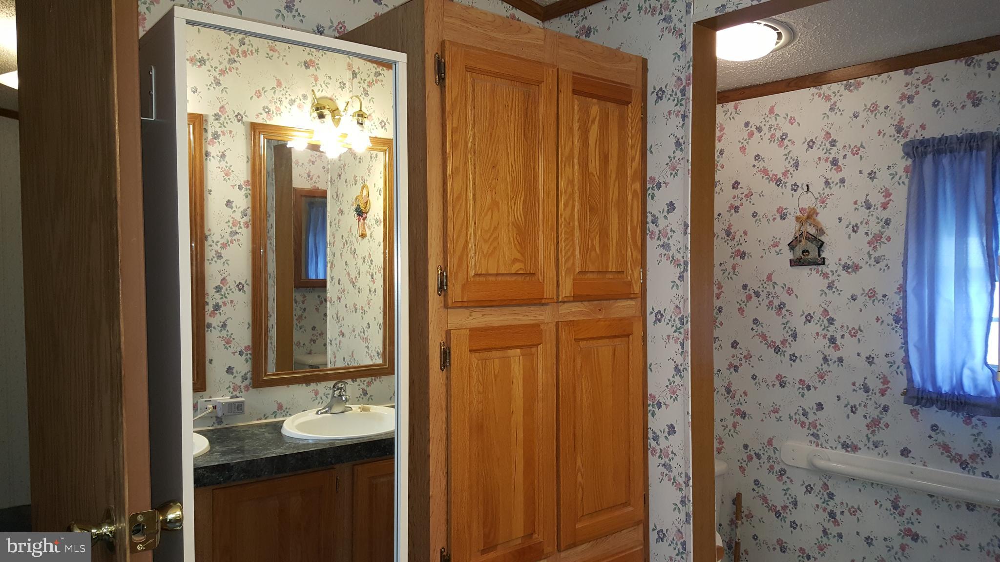 21 Cecilton Manor Drive Warwick, MD 21912 - Photo 10 of 16 Master bath