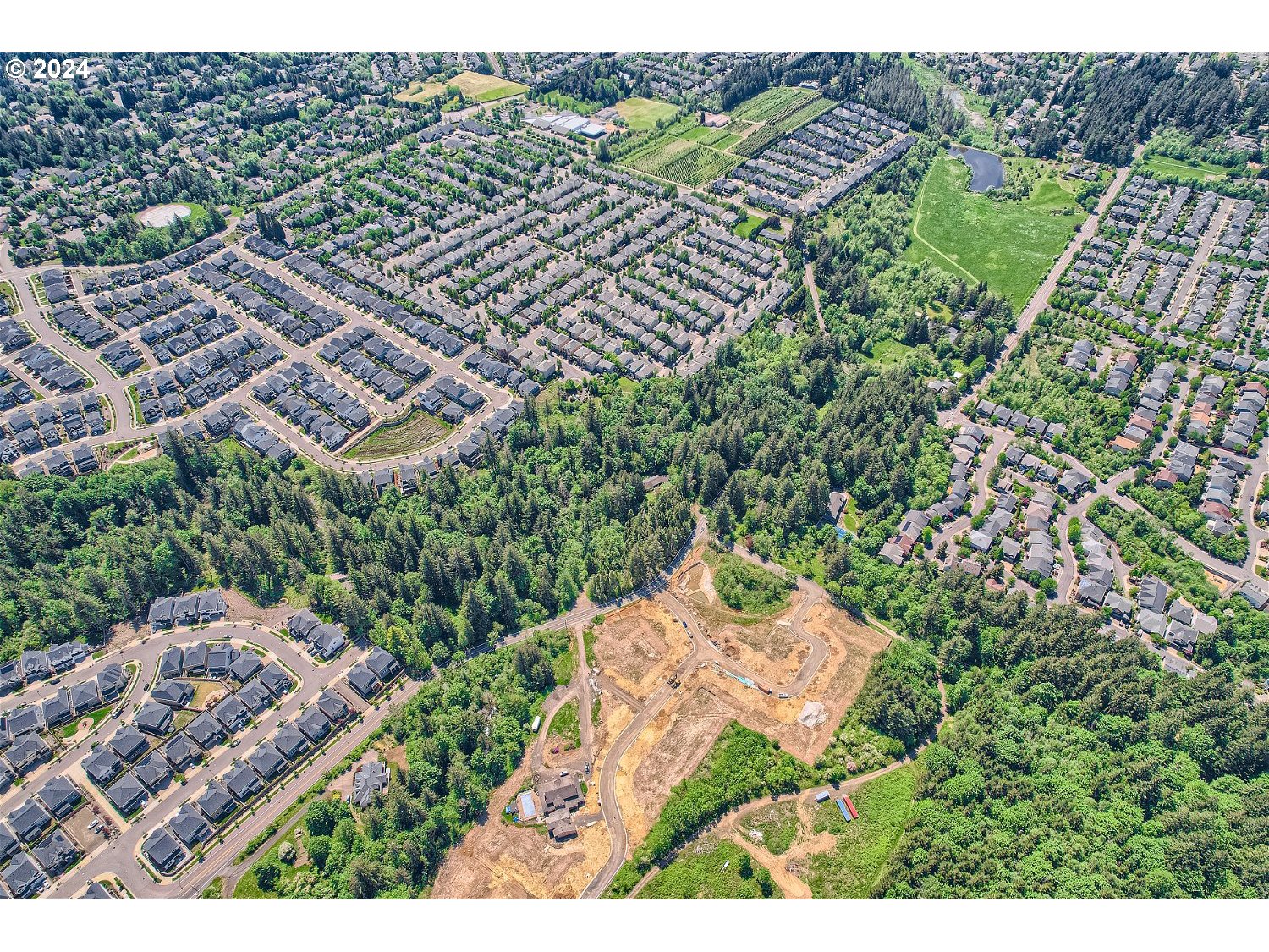 12440 Northwest Laidlaw Road Portland, OR 97229 - Photo 5 of 13