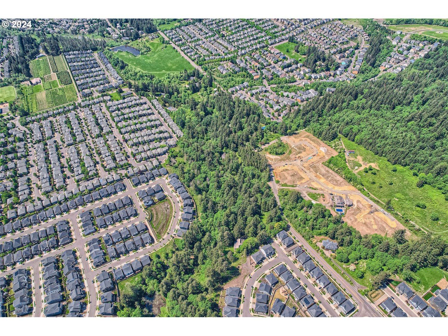 12440 Northwest Laidlaw Road Portland, OR 97229 - Photo 8 of 13