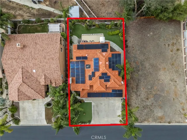 a living room with furniture a wooden floor and potted plant