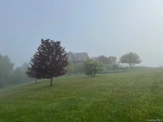a view of a field of grass and trees