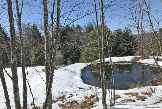 a view of swimming pool with a yard