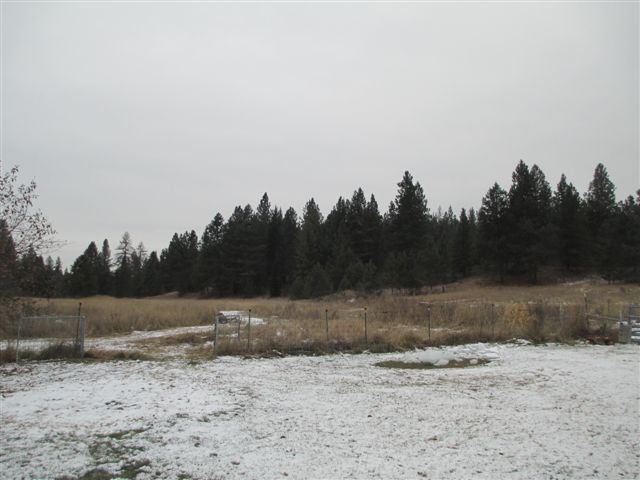 4271 Lumberg Road Springdale, WA 99173 - Photo 11 of 20