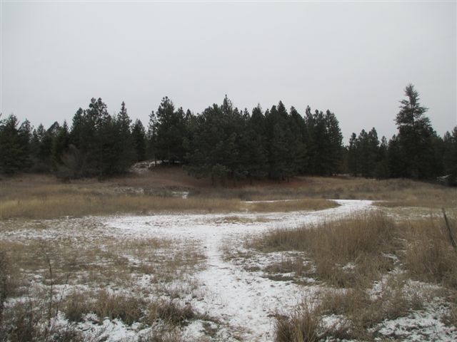 4271 Lumberg Road Springdale, WA 99173 - Photo 12 of 20