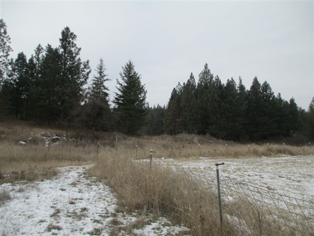 4271 Lumberg Road Springdale, WA 99173 - Photo 15 of 20