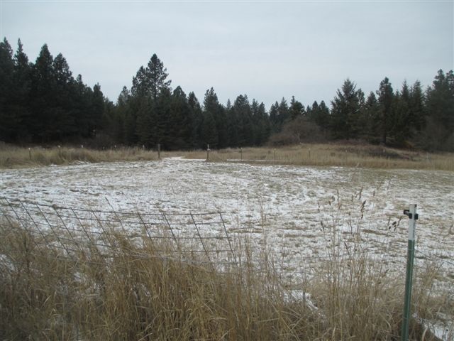 4271 Lumberg Road Springdale, WA 99173 - Photo 16 of 20