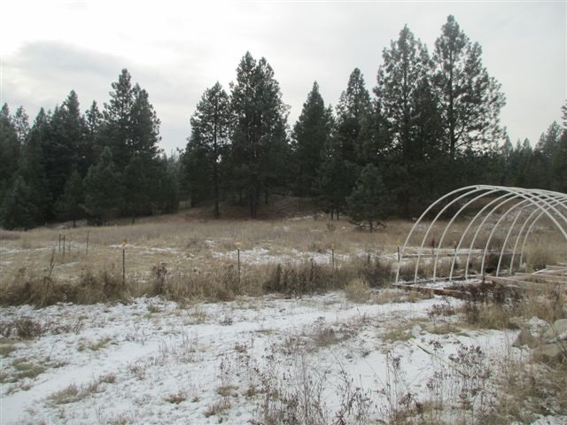 4271 Lumberg Road Springdale, WA 99173 - Photo 17 of 20