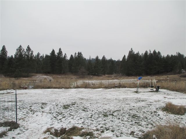 4271 Lumberg Road Springdale, WA 99173 - Photo 9 of 20