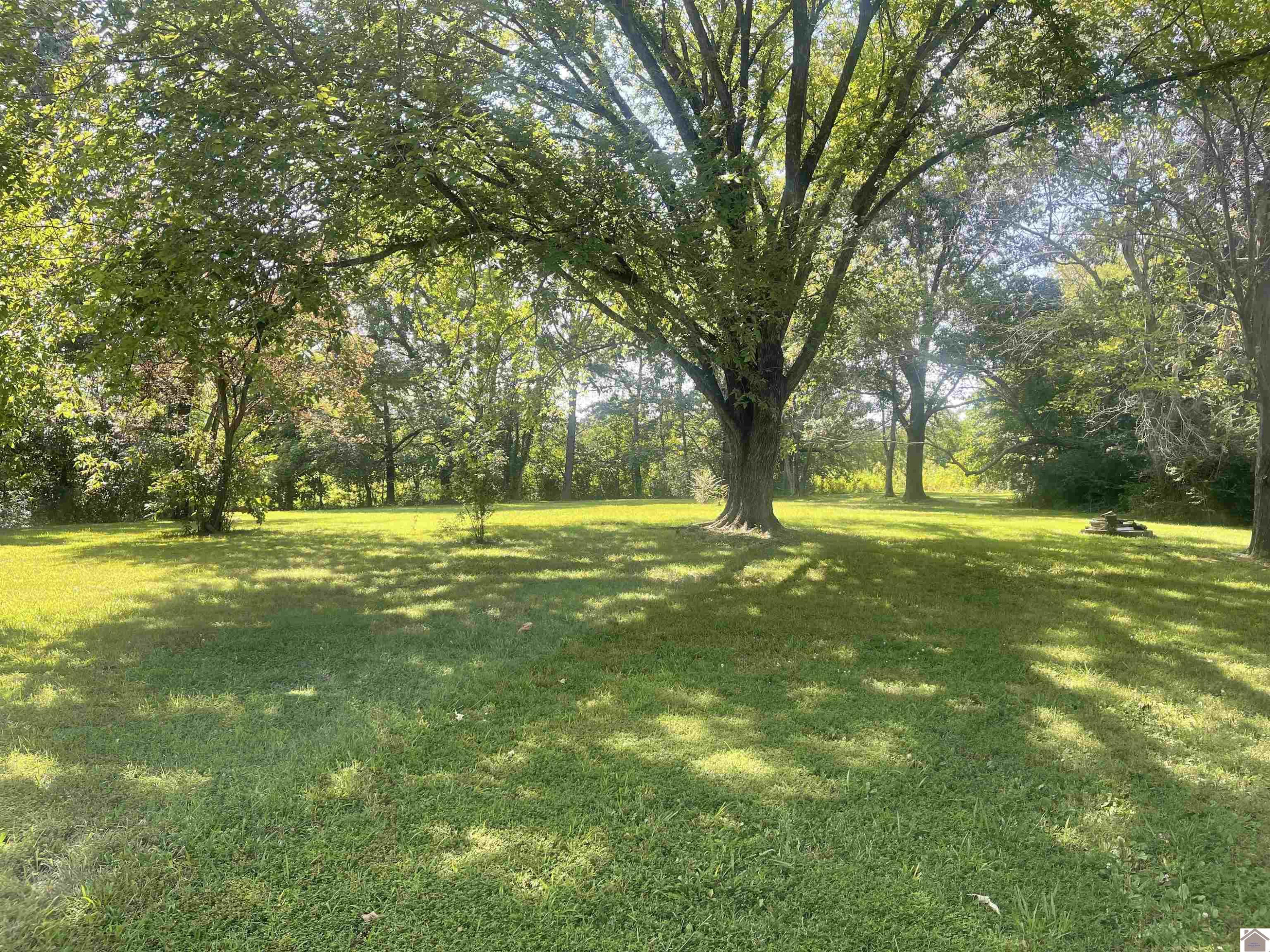 4419 Radio Road Dexter, KY 42036 - Photo 26 of 31 Photo 26