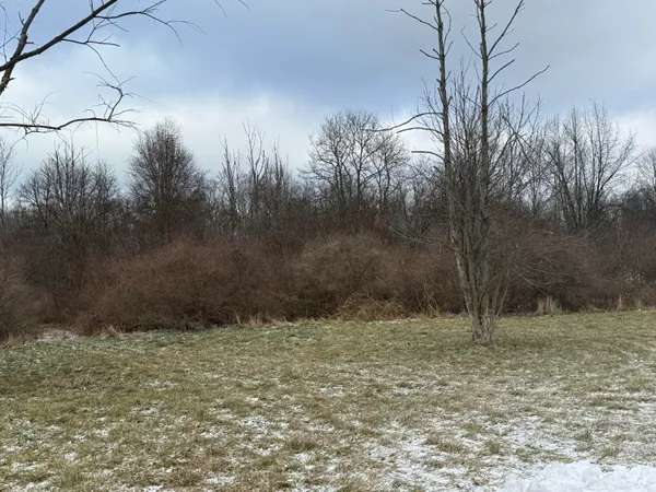 $349,000 | 0 Union Pier Road, Union Pier, MI 49129