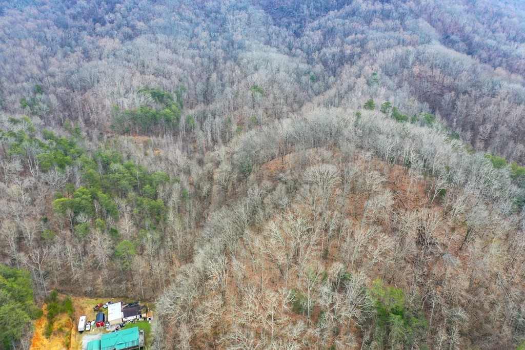 0 Dripping Springs Road Seymour, TN 37865 - Photo 19 of 32 Gallery Image 19