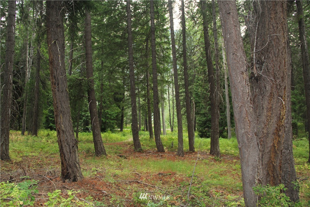 548 Lost River Road Mazama, WA 98833 - Photo 1 of 25 Gallery Image 1