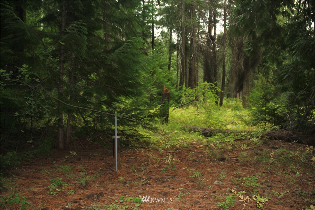 548 Lost River Road Mazama, WA 98833 - Photo 2 of 25 Gallery Image 2