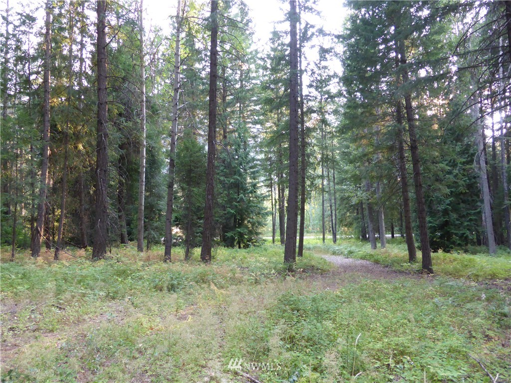 548 Lost River Road Mazama, WA 98833 - Photo 11 of 25 Gallery Image 11