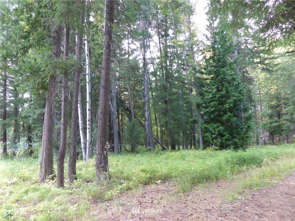 548 Lost River Road Mazama, WA 98833 - Photo 12 of 25 Gallery Image 12