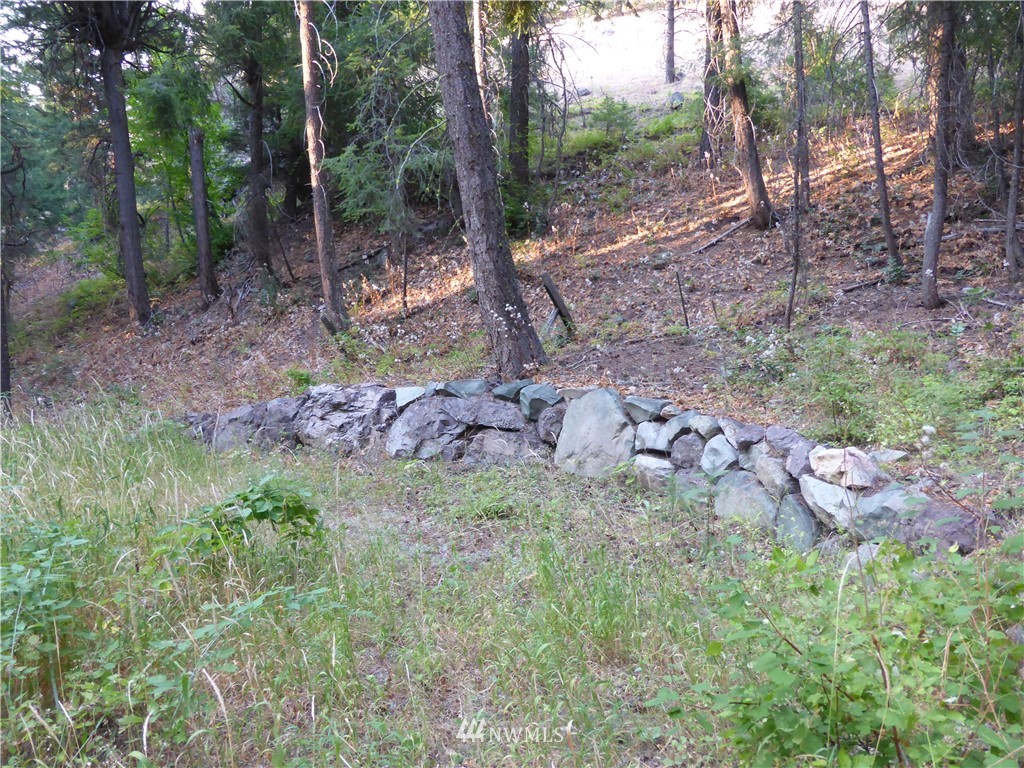 548 Lost River Road Mazama, WA 98833 - Photo 13 of 25 Gallery Image 13