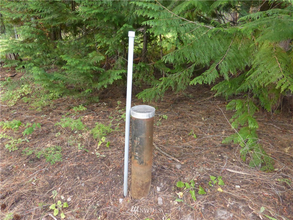 548 Lost River Road Mazama, WA 98833 - Photo 14 of 25 Gallery Image 14