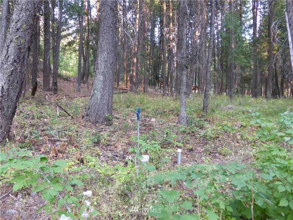 548 Lost River Road Mazama, WA 98833 - Photo 16 of 25 Gallery Image 16