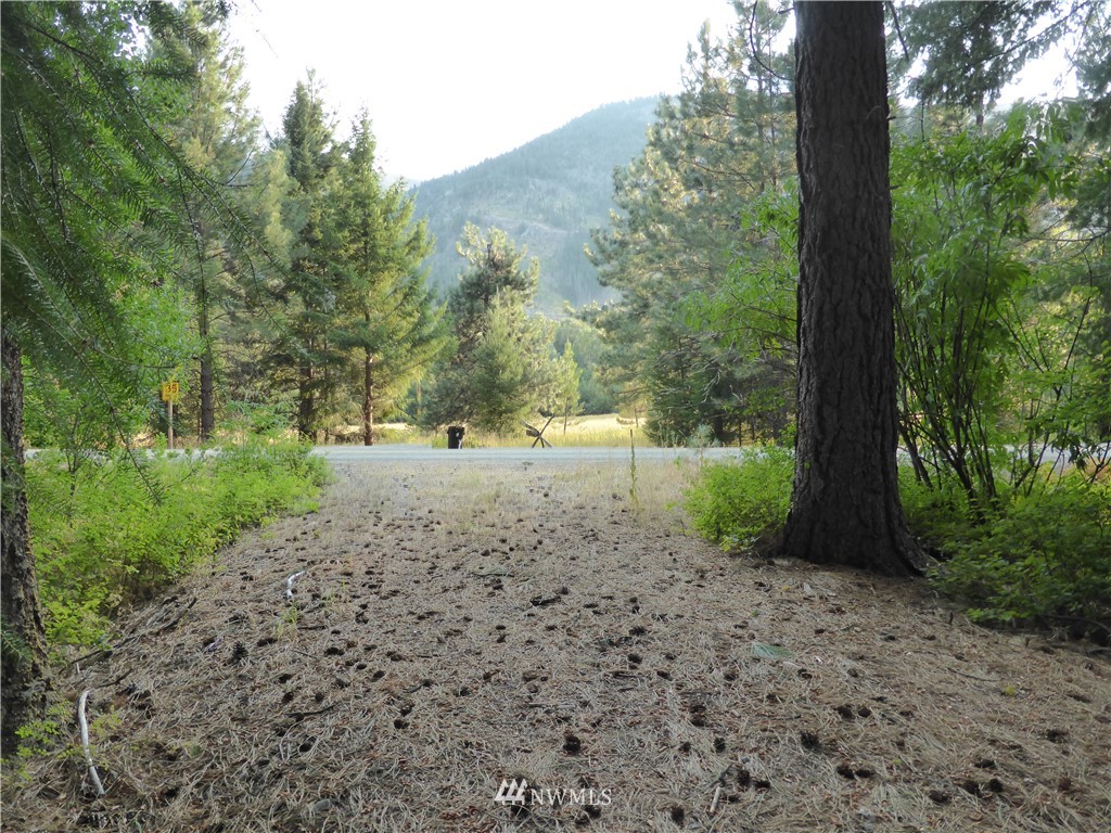 548 Lost River Road Mazama, WA 98833 - Photo 20 of 25 Gallery Image 20