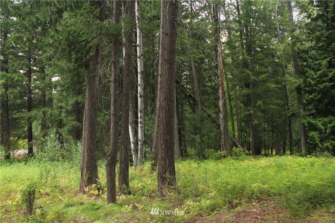 548 Lost River Road Mazama, WA 98833 - Photo 3 of 25 Gallery Image 3