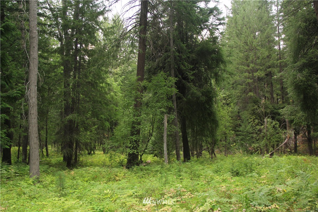 548 Lost River Road Mazama, WA 98833 - Photo 4 of 25 Gallery Image 4