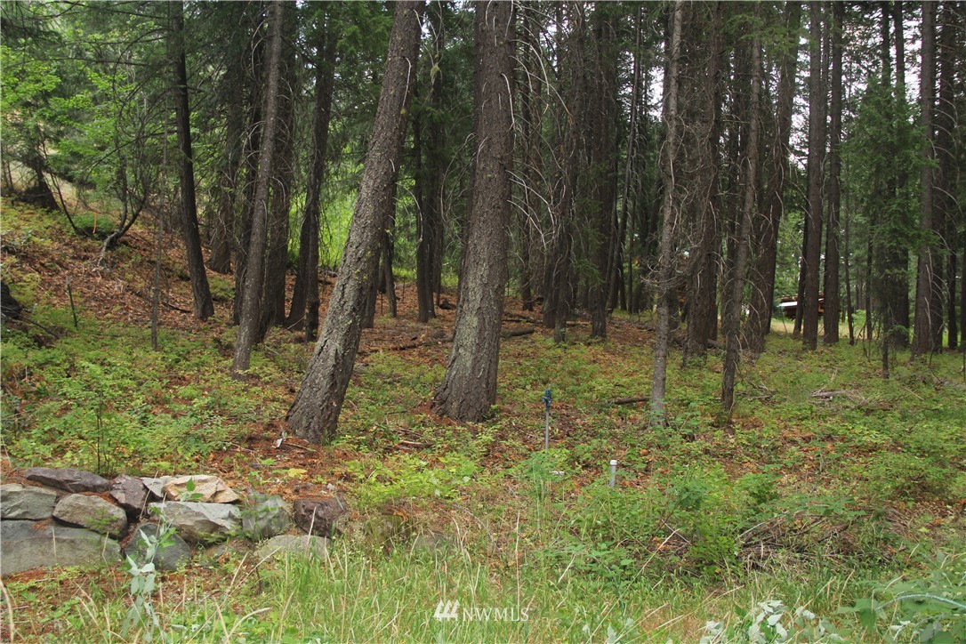 548 Lost River Road Mazama, WA 98833 - Photo 9 of 25 Gallery Image 9