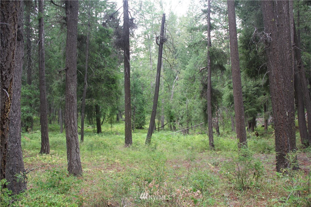 548 Lost River Road Mazama, WA 98833 - Photo 10 of 25 Gallery Image 10