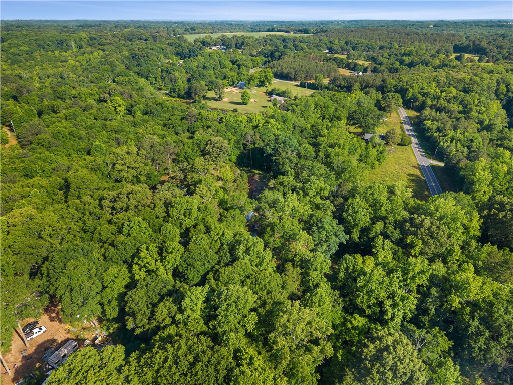 217 Old River Road Pelzer, SC 29669 - Photo 26 of 30 Discover this expansive, verdant lot offering abundant natural beauty and a tranquil setting.