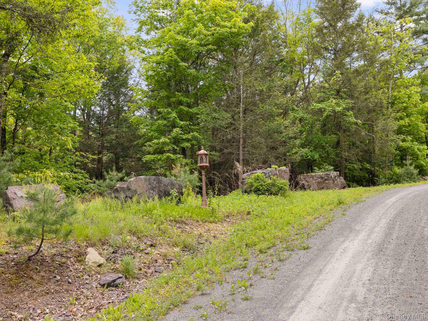 40 Mamoud Hills Road Kingston, NY 12401 - Photo 11 of 42 a view of a garden with plants and large trees