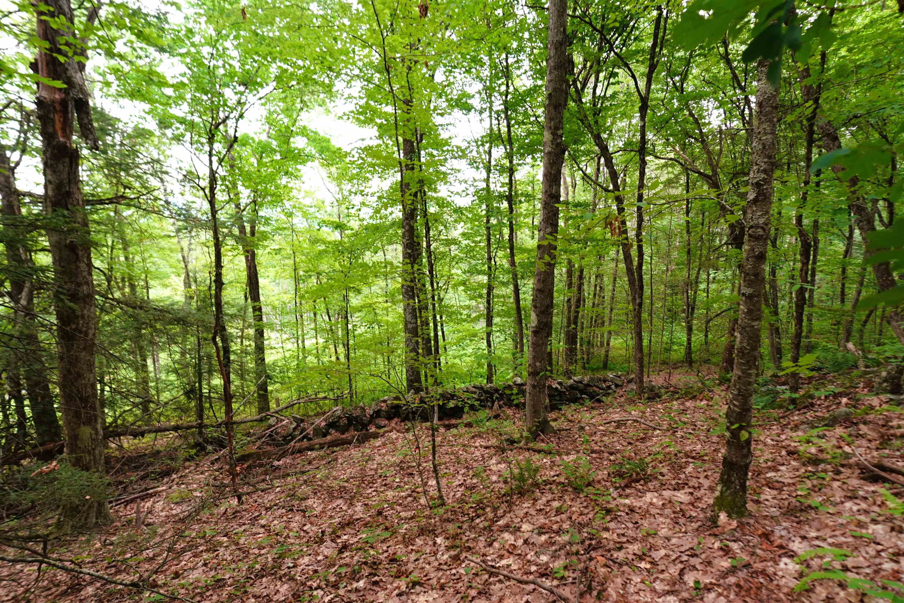 0 Burt Hill Road Winchester, NH 03470 - Photo 19 of 32