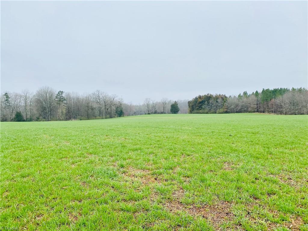 0 Roby Coe Road Ramseur, NC 27316 - Photo 1 of 33 Gallery Image 1