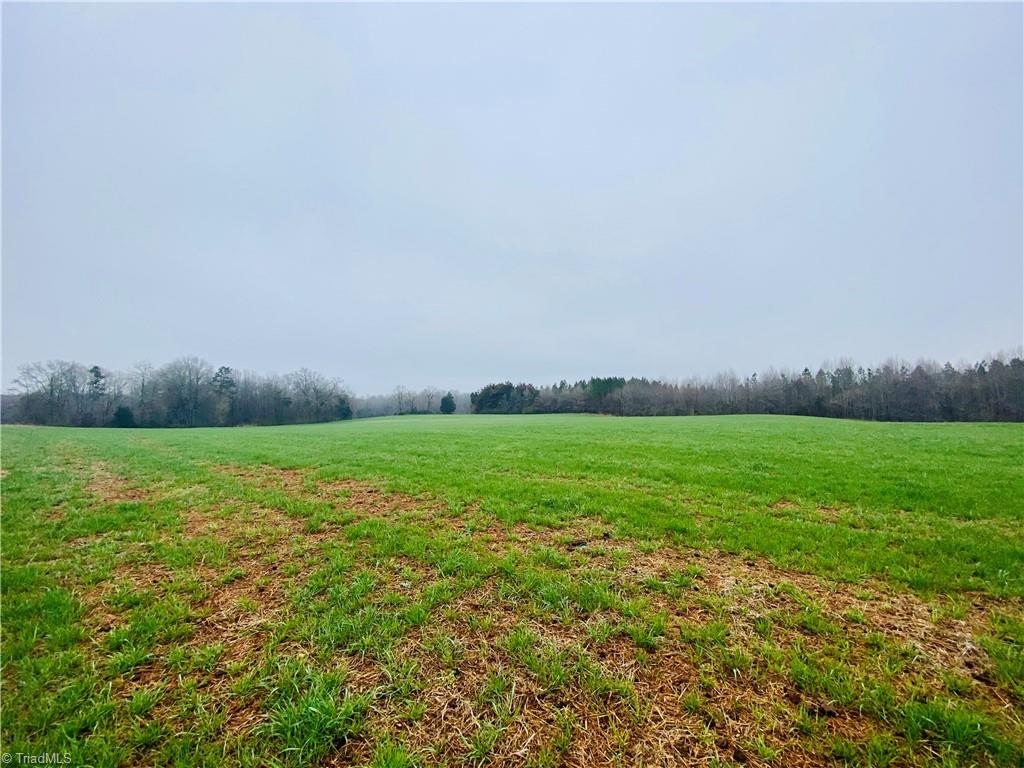 0 Roby Coe Road Ramseur, NC 27316 - Photo 2 of 33 Gallery Image 2