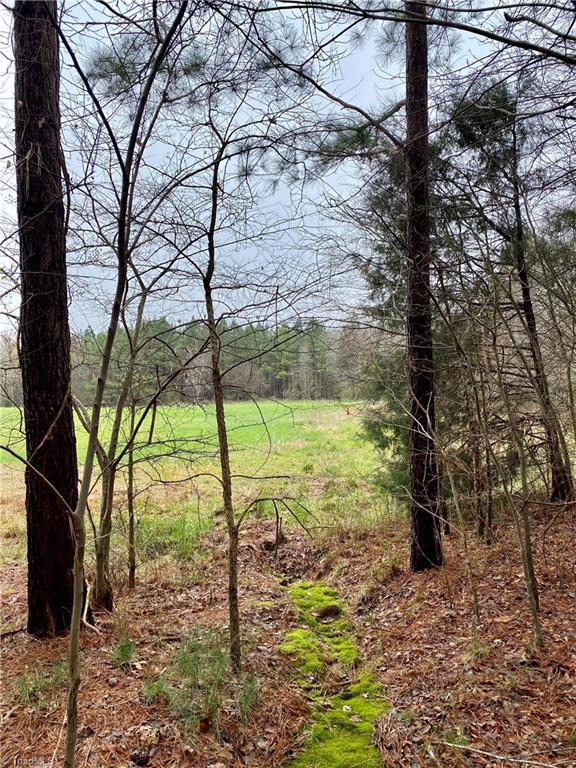 0 Roby Coe Road Ramseur, NC 27316 - Photo 13 of 33 Gallery Image 13