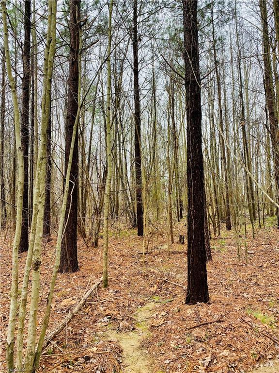 0 Roby Coe Road Ramseur, NC 27316 - Photo 14 of 33 Gallery Image 14