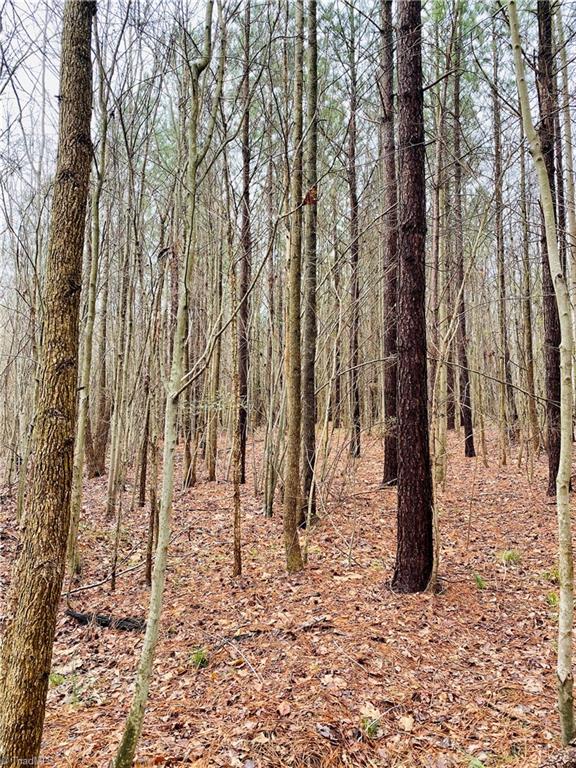 0 Roby Coe Road Ramseur, NC 27316 - Photo 15 of 33 Gallery Image 15