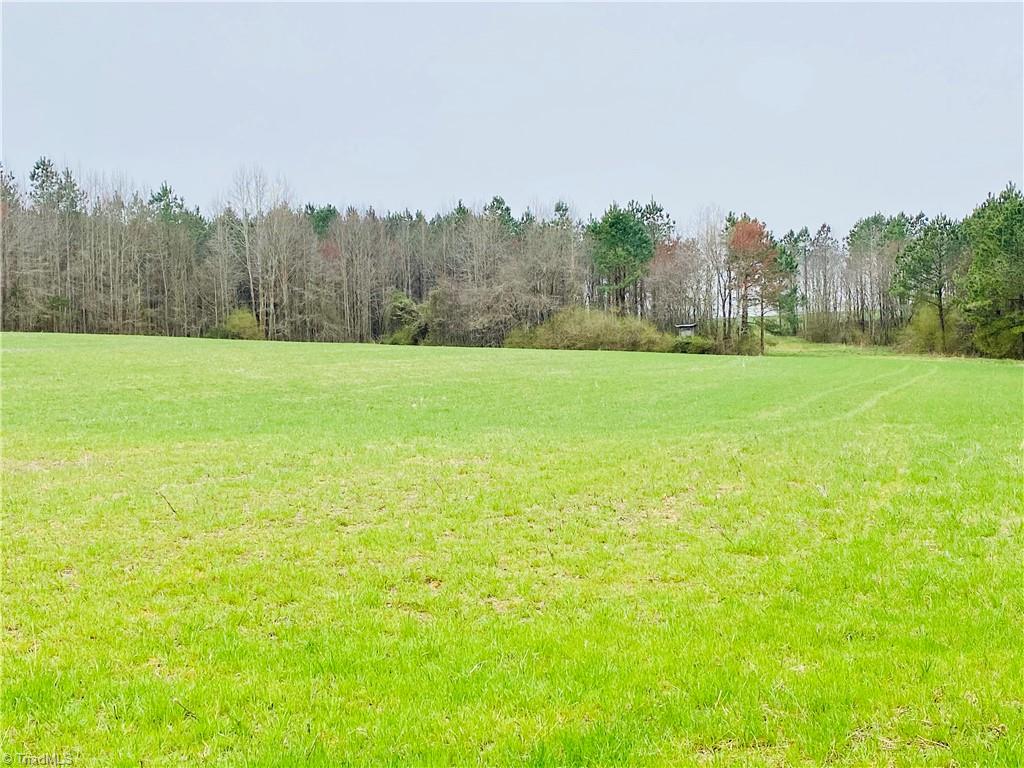 0 Roby Coe Road Ramseur, NC 27316 - Photo 16 of 33 Gallery Image 16